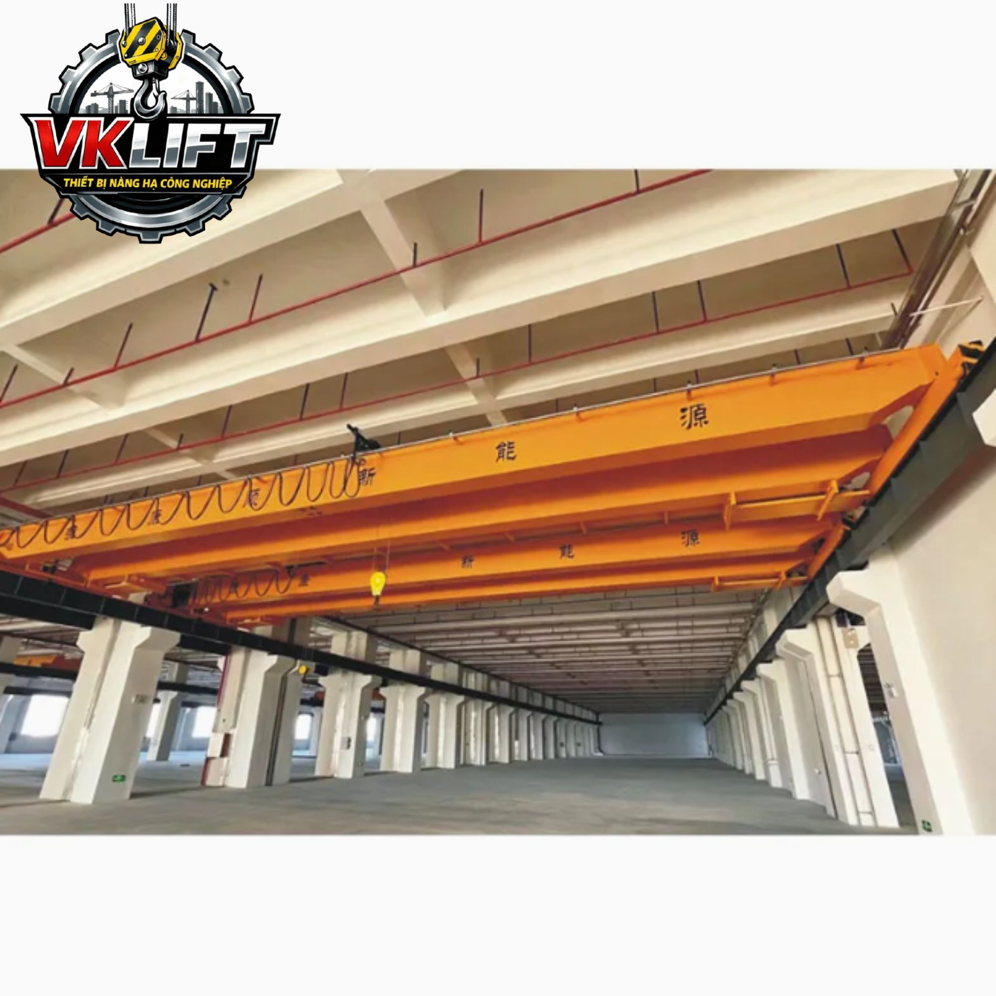 Cách Chọn Cầu Trục Phù Hợp Cho Nhà Xưởng – Hướng Dẫn Tối Ưu Chi Phí, An Toàn Và Hiệu Suất Vận Hành